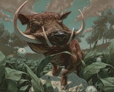 Pygmy Razorback