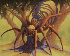Rib Cage Spider