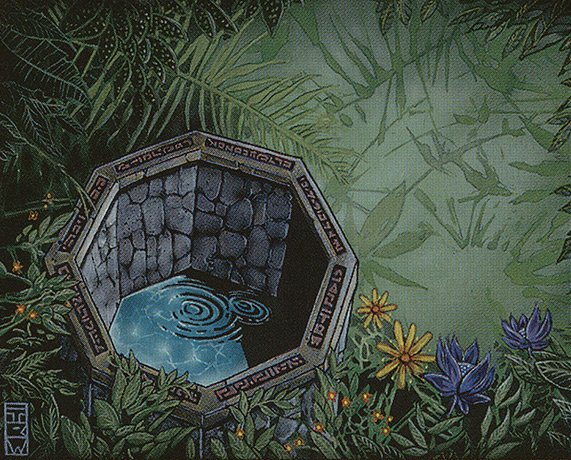Well of Life