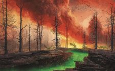 Cinder Glade