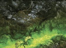 Swamp