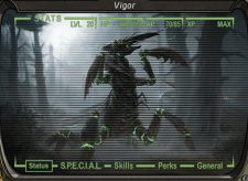 Vigor