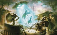 Wild Wasteland