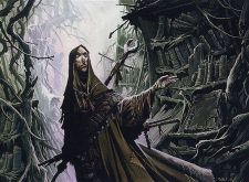 Magus of the Library