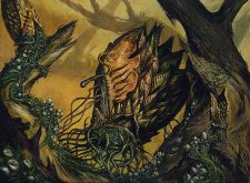 Psychotrope Thallid