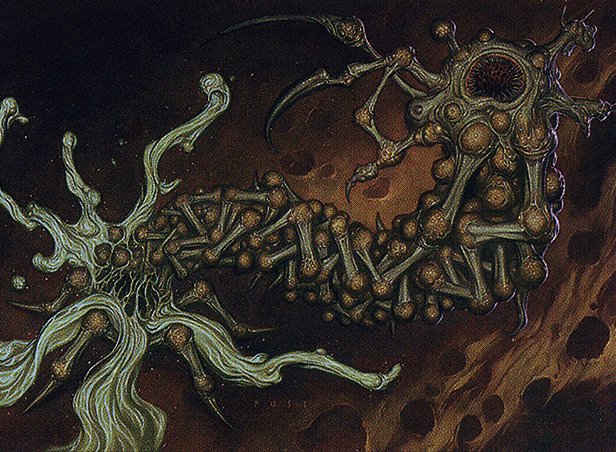 Shaper Parasite