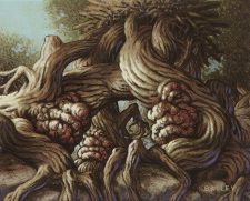 Rith’s Grove