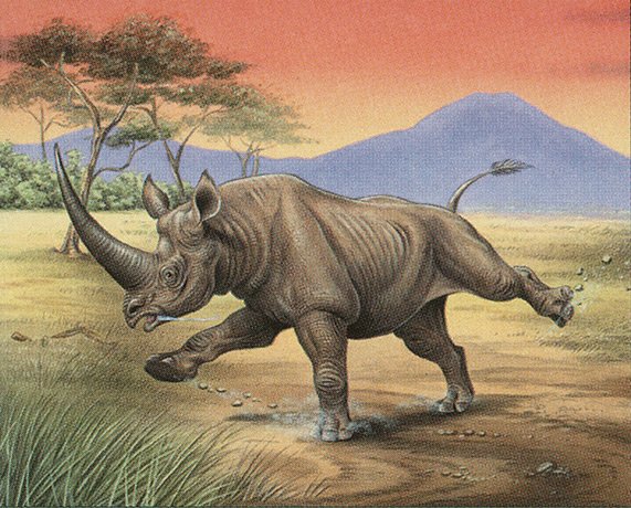 Charging Rhino