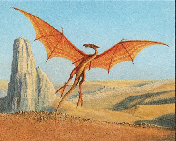 Desert Drake