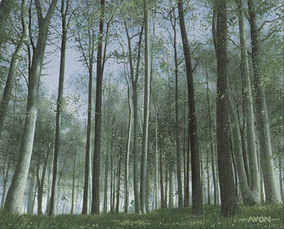 Forest