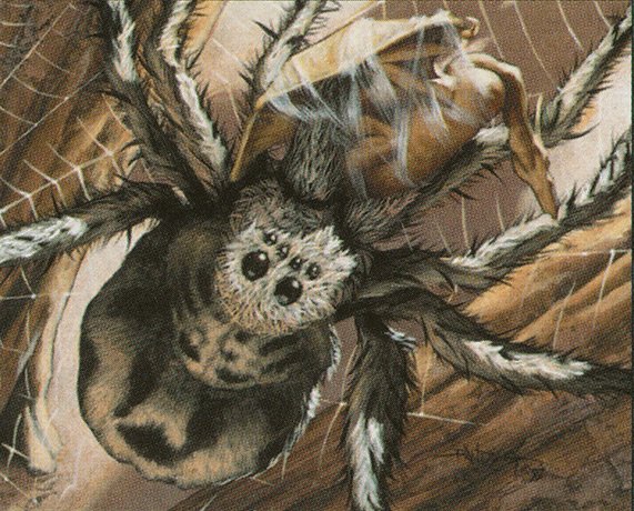 Giant Spider