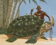 Horned Turtle