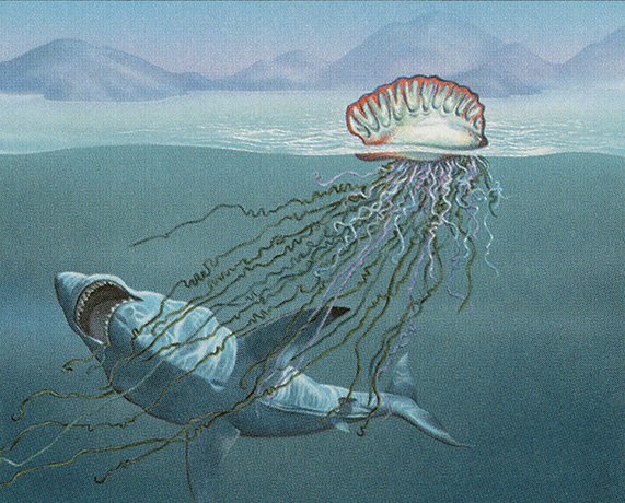 Man-o’-War
