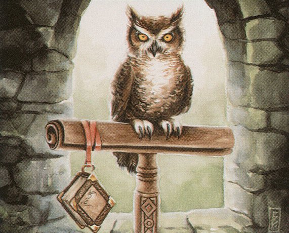 Owl Familiar