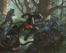 Panther Warriors