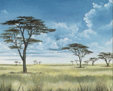 Plains