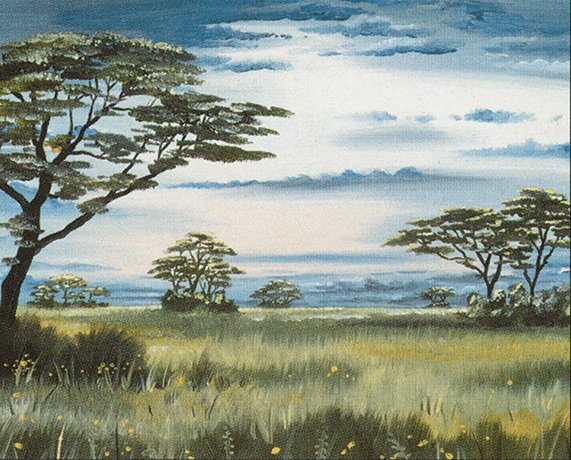 Plains