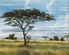 Plains