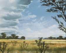 Plains
