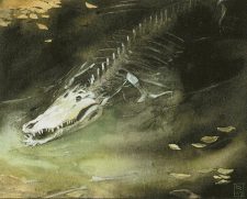Skeletal Crocodile