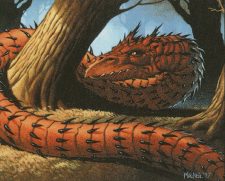 Spined Wurm
