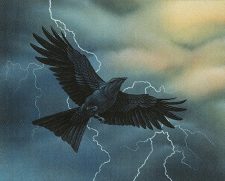 Storm Crow