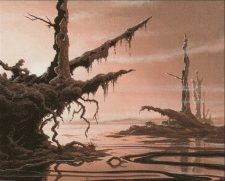 Swamp
