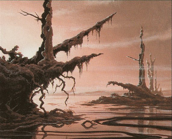 Swamp