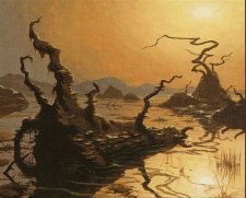 Swamp