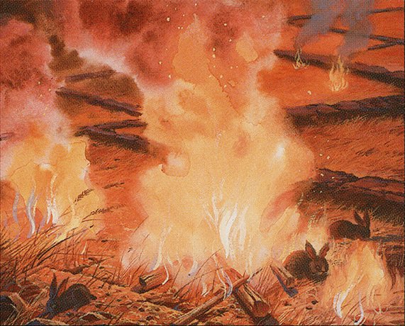 Burning Fields