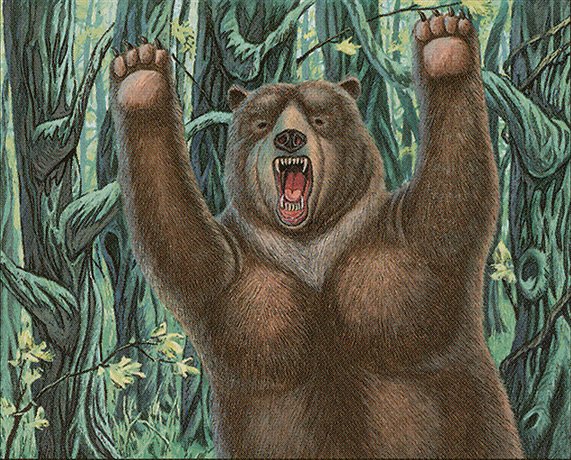 Forest Bear