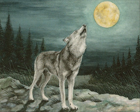 Lone Wolf