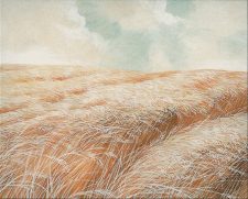 Plains