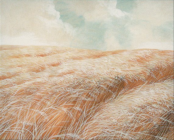 Plains