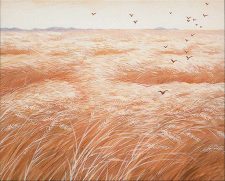 Plains