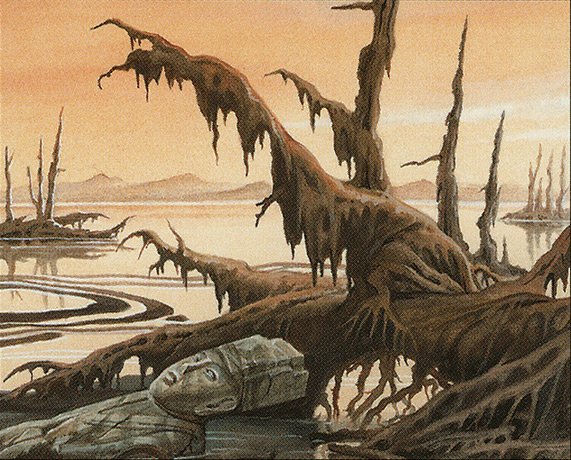 Swamp
