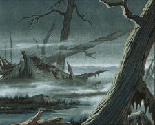 Swamp