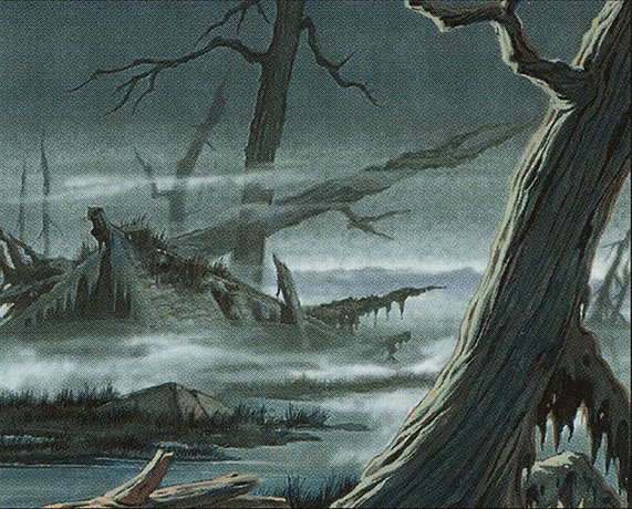 Swamp