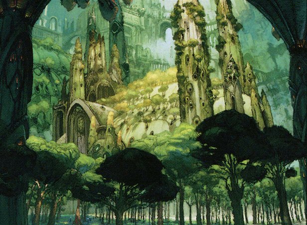 Forest