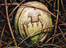 Golgari Signet