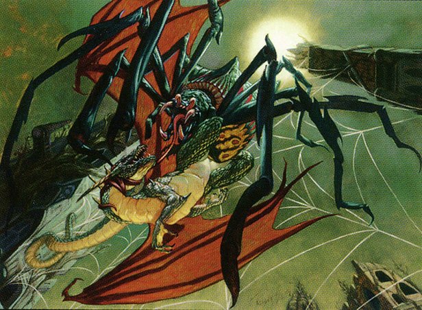 Goliath Spider