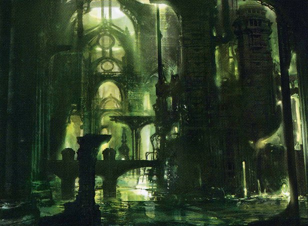 Swamp
