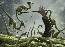Compy Swarm