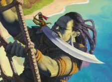 Fathom Fleet Boarder
