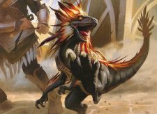 Raptor Companion