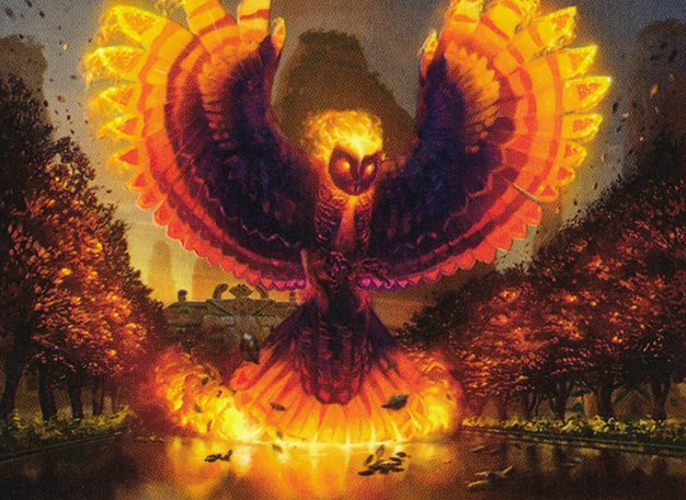 Rekindling Phoenix
