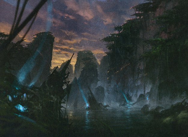 Swamp