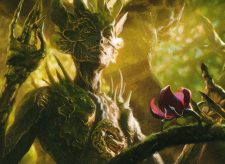 Tendershoot Dryad
