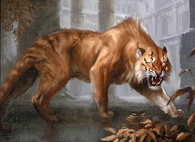 Feral Maaka