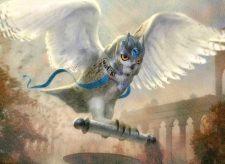 Senate Courier